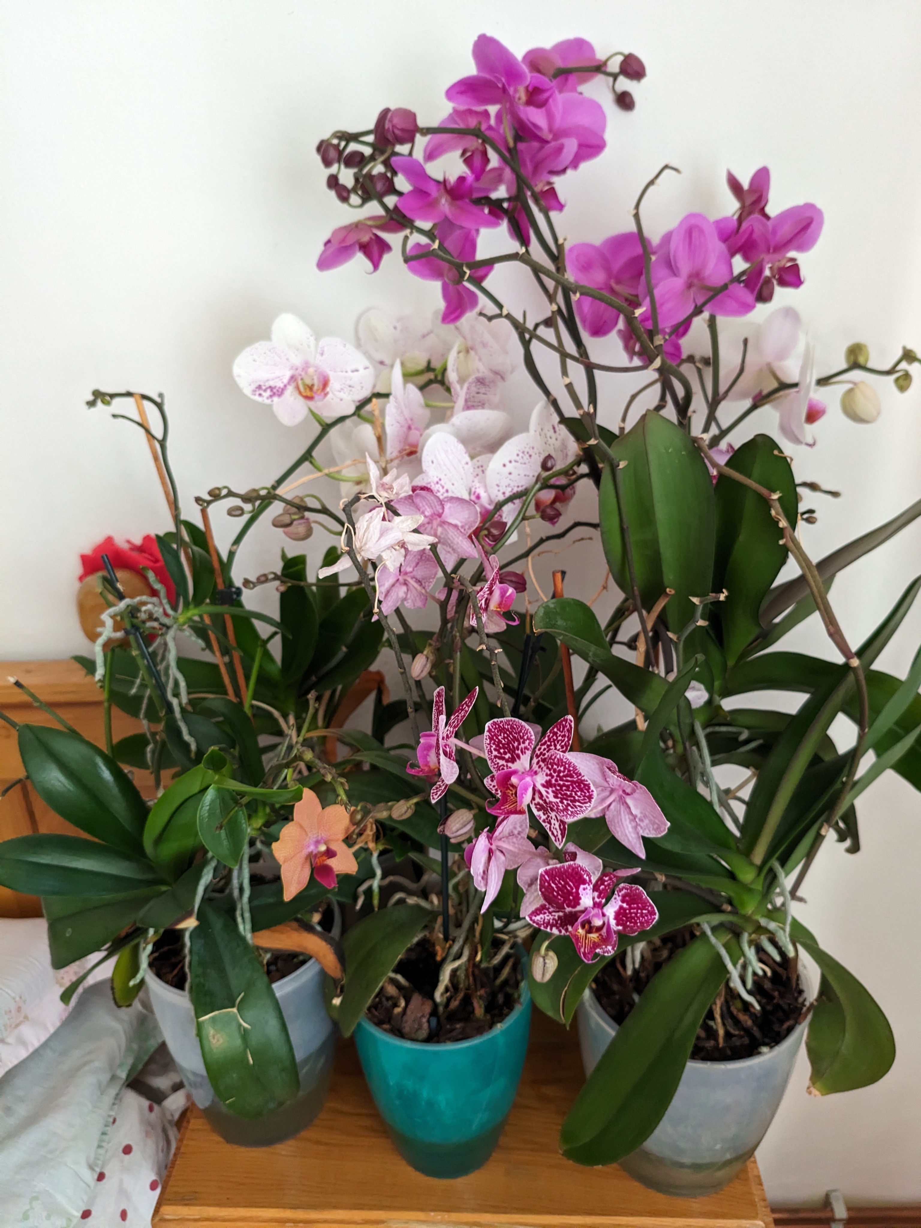 A descriptive alt text for the image